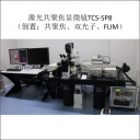 SP8-倒置共聚焦