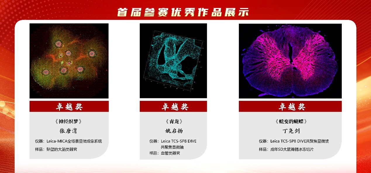 图片3